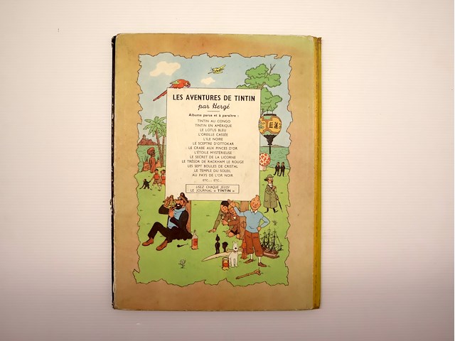 Au pays de lor noir (b4) - afbeelding 9 van  10