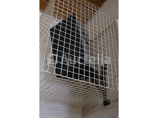 Audioapparatuur + 4 jb systems luidsprekers - afbeelding 4 van  14
