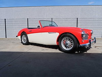 Austin healey - 100/6 - classic cars >15