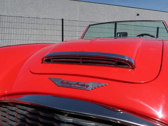 Austin healey - 100/6 - classic cars >15 - afbeelding 15 van  57