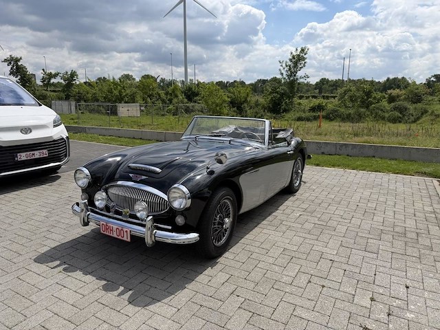 Austin healey - afbeelding 1 van  16