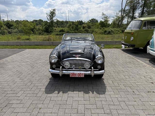 Austin healey - afbeelding 9 van  16