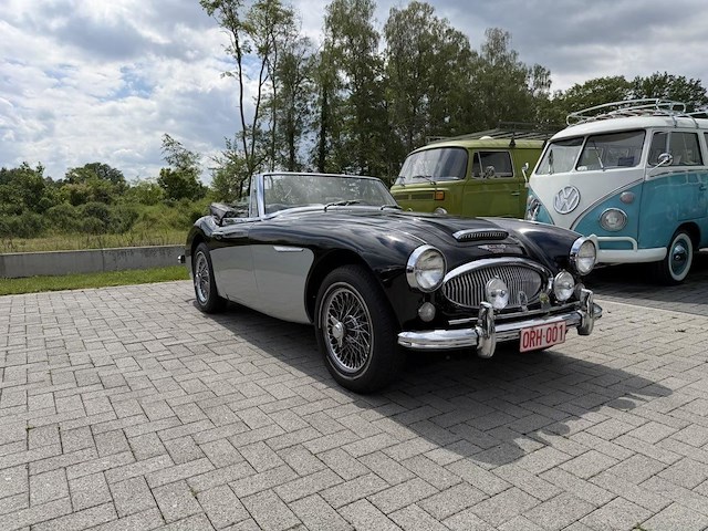 Austin healey - afbeelding 10 van  16
