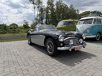 Austin healey - afbeelding 10 van  16