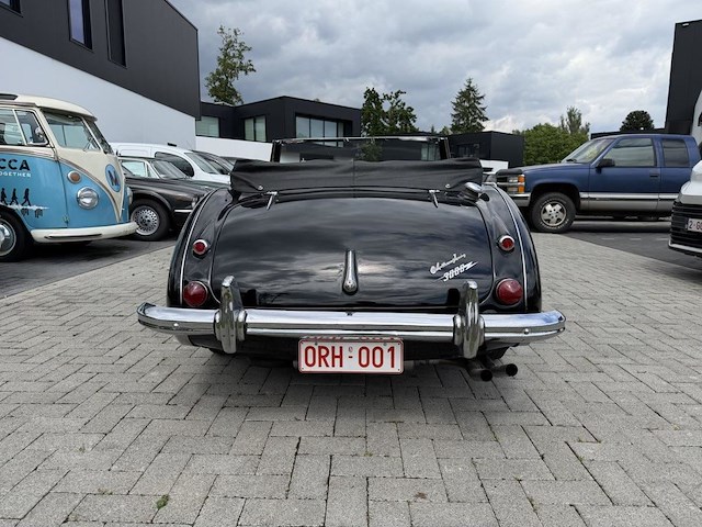 Austin healey - afbeelding 11 van  16