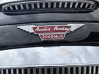 Austin healey - afbeelding 13 van  16