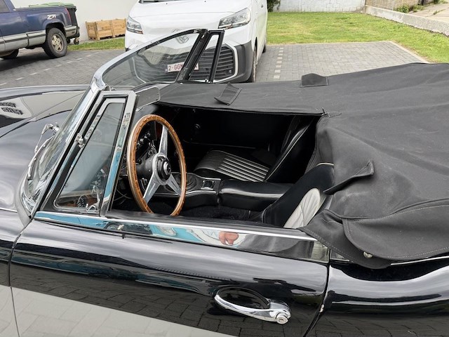 Austin healey - afbeelding 15 van  16