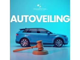 Autoveiling : hasselt - st truiden - mol