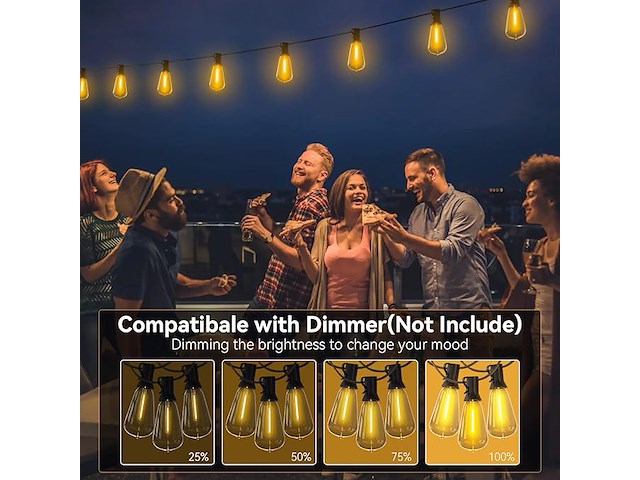 Avanlo led-lichtsnoer voor buiten, 30,5 m - afbeelding 3 van  4