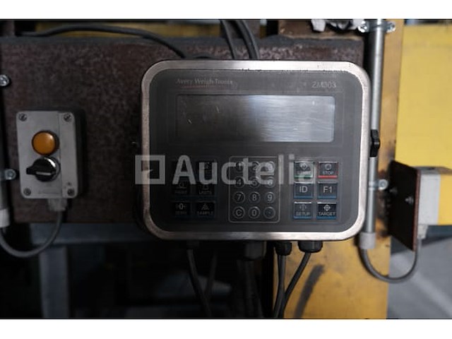 Avery weigh-tronix zm303 industriële ladderschaal - afbeelding 2 van  8