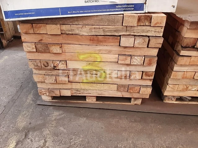Avivé, beuk