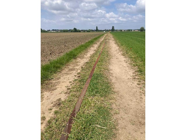 Baars beregeningsslang - afbeelding 5 van  5