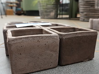 Babypot klein – gemengd lot van 8 - afbeelding 2 van  5