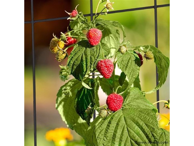 Badkamerkastje zwart - afbeelding 7 van  7