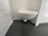 Badkamermeubel met spoeltafel - spiegelkasten - wc - afbeelding 8 van  8