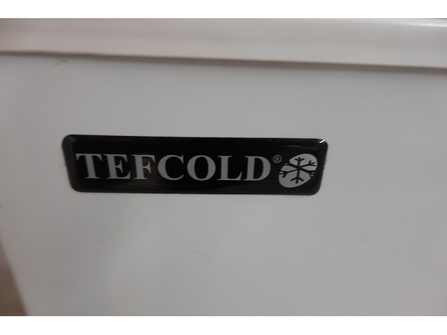 Bakdiepvries tefcold + inhoud - afbeelding 2 van  8