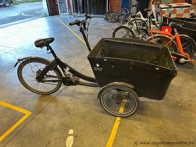 Bakfiets triobike, met sleutel, nummer 702 - 404. werking niet gekend. - afbeelding 1 van  4