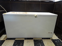 Bakiepvriezer met inhoud