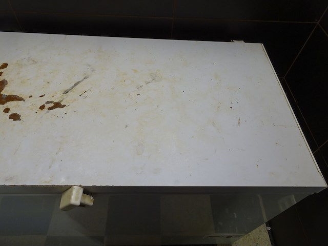 Bakiepvriezer met inhoud - afbeelding 3 van  5