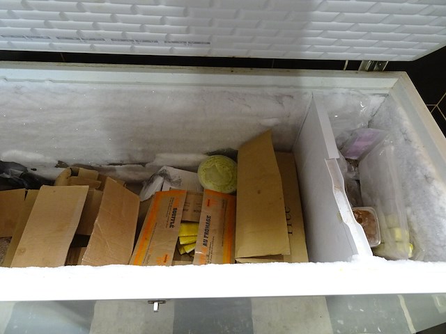 Bakiepvriezer met inhoud - afbeelding 5 van  5