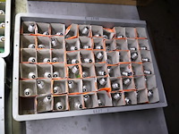 Bakken met lampen (x4) - afbeelding 5 van  5