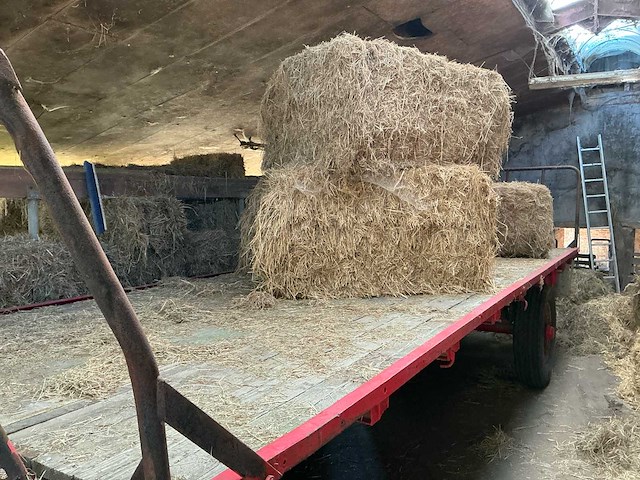 Balentransportwagen - afbeelding 4 van  6