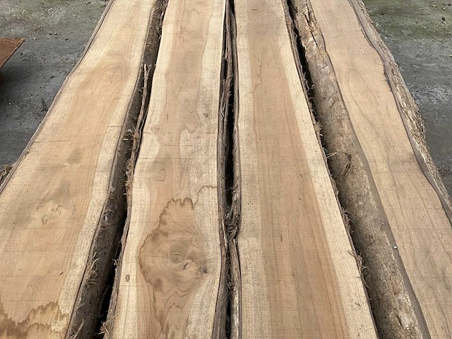 Balken teak - afbeelding 3 van  5