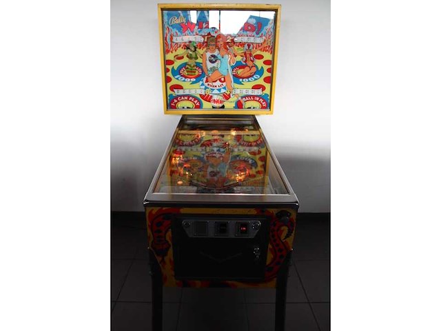 Bally - wizard - flipperkast - afbeelding 2 van  8