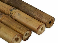 Bamboostokken - afbeelding 5 van  5