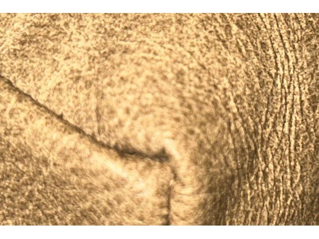 Bank/zetel - afbeelding 3 van  5