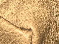 Bank/zetel - afbeelding 3 van  5