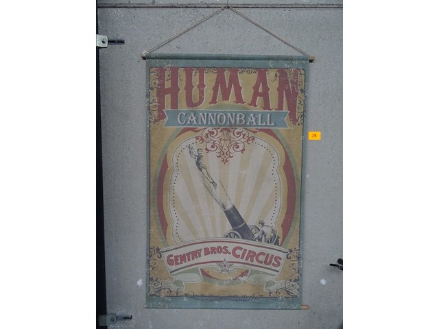 Banner cannonball - afbeelding 1 van  2