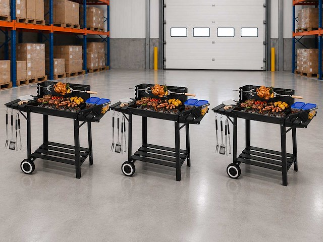 Barbecue houtskool met draaispit (3x) - afbeelding 1 van  6