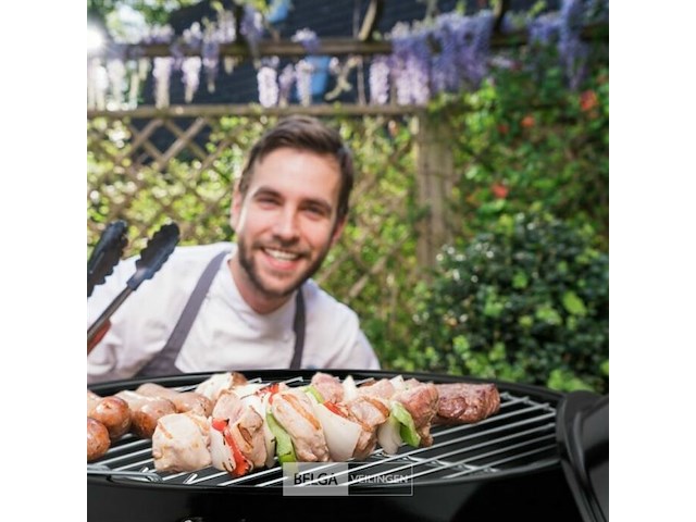 Barbecue - afbeelding 3 van  8