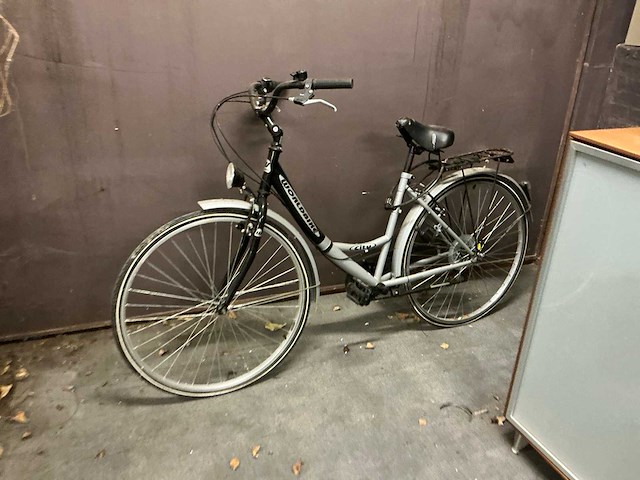 Batavus en worldbike diverse fietsen (2x) - afbeelding 3 van  5