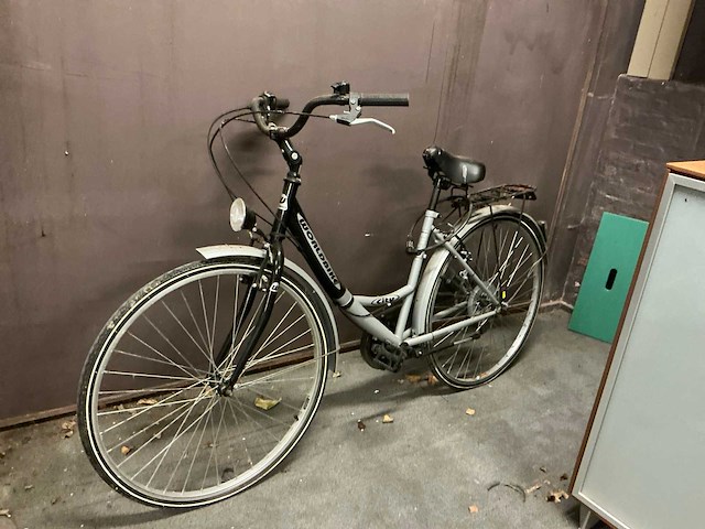 Batavus en worldbike diverse fietsen (2x) - afbeelding 5 van  5