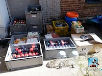 Batch van bakken met inhoud