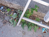 Batch van behandelingsapparatuur - afbeelding 6 van  15
