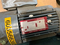 Bauer + sew electro motor met reductie (6x) - afbeelding 8 van  9