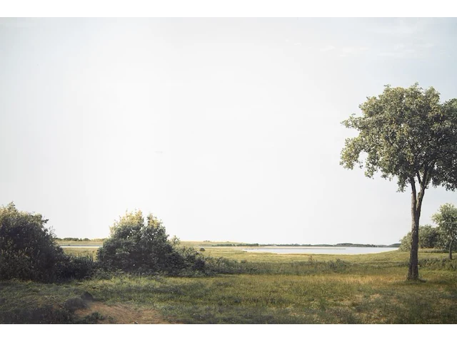 Beate gütschow (1970), 'ls#10', 2001, ink-jet print, n° 6/10 125 x 200 cm. (49.21 x 78.73 in.) - afbeelding 1 van  6