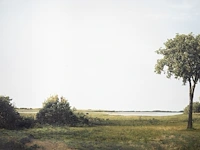 Beate gütschow (1970), 'ls#10', 2001, ink-jet print, n° 6/10 125 x 200 cm. (49.21 x 78.73 in.)