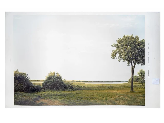 Beate gütschow (1970), 'ls#10', 2001, ink-jet print, n° 6/10 125 x 200 cm. (49.21 x 78.73 in.) - afbeelding 2 van  6