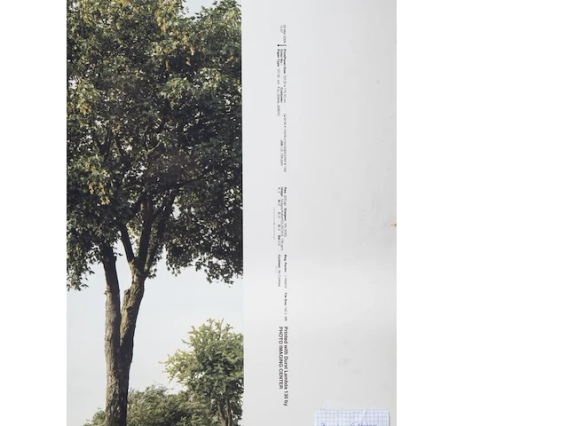 Beate gütschow (1970), 'ls#10', 2001, ink-jet print, n° 6/10 125 x 200 cm. (49.21 x 78.73 in.) - afbeelding 4 van  6