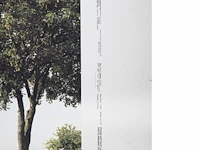 Beate gütschow (1970), 'ls#10', 2001, ink-jet print, n° 6/10 125 x 200 cm. (49.21 x 78.73 in.) - afbeelding 4 van  6