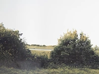 Beate gütschow (1970), 'ls#10', 2001, ink-jet print, n° 6/10 125 x 200 cm. (49.21 x 78.73 in.) - afbeelding 5 van  6