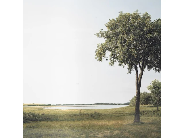 Beate gütschow (1970), 'ls#10', 2001, ink-jet print, n° 6/10 125 x 200 cm. (49.21 x 78.73 in.) - afbeelding 6 van  6