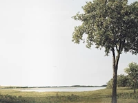 Beate gütschow (1970), 'ls#10', 2001, ink-jet print, n° 6/10 125 x 200 cm. (49.21 x 78.73 in.) - afbeelding 6 van  6