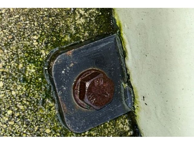 Beeld beer - afbeelding 5 van  5