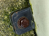 Beeld beer - afbeelding 5 van  5