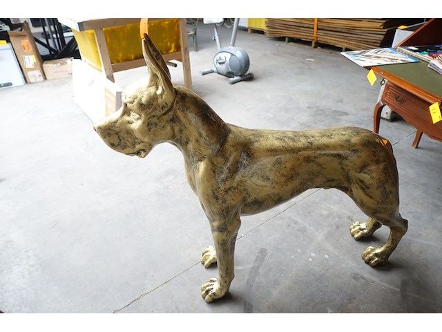 Beeld duitse dog - afbeelding 1 van  4